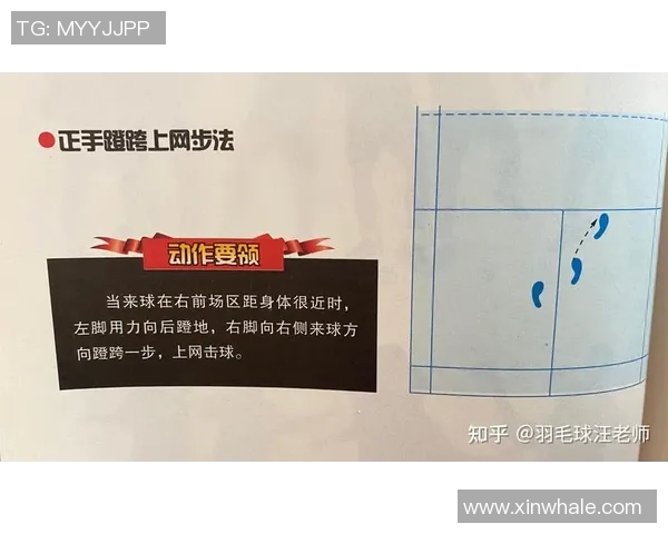广州羽毛球队技术表现深度分析与数据解读探讨