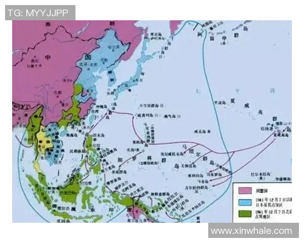 深入分析杭州排球队包夹战术的特点与应用策略
